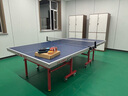 雙魚(yú)（DOUBLE FISH） 乒乓球桌大賽ITTF認證標準室內乒乓球臺移動(dòng)雙折疊式乒乓球案子 雙魚(yú)203折疊帶輪18mm+球拍+網(wǎng)架 曬單實(shí)拍圖