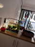 森悠（SARYOR）魚缸懶人沉木水榕造景裝飾活體植物水族箱真水草套餐淡水增氧水草 三頭黃金榕沉木 曬單實拍圖