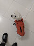 SLPC狗狗衣服小型犬泰迪比熊保暖秋冬衣服加厚胸背狗棉衣馬甲寵物衣服 紅色 XXL（12-18斤） 曬單實拍圖