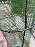 釣龍王（DiaoLongWang）魚(yú)護不銹鋼圈魚(yú)護 萬(wàn)向涂膠黑坑漁護臺釣網(wǎng)兜用品 25cm 0m 綠色魚(yú)護直徑 長(cháng)1.5米 曬單實(shí)拍圖