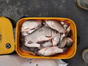狼王細條平打金袖釣魚鉤散裝進口極細釣魚鉤有刺無刺鯽魚白條鉤金秀鉤 平打細條金袖100枚有刺 7號 曬單實拍圖