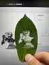 XTOOLF1 小型全自動(dòng)便攜激光雕刻機(jī)配件 凈化器 F1凈化器 曬單實(shí)拍圖