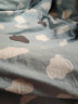 LOVO罗莱生活 水洗棉四件套 纯棉套件全棉床单床上被套1.5米 实拍图