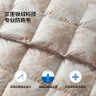 LOVO罗莱生活 A类 95%白鹅绒羽绒被 冬被 1000g填充200*230cm 彩色 实拍图