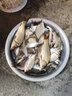 老G釣魚(yú)添加劑小藥黑坑野釣果酸天熱開(kāi)口 果酸2號（100克） 曬單實(shí)拍圖