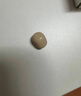 百迪班無線藍(lán)牙耳機(jī)入耳式運動微小型睡眠小巧隱形迷你超小音樂2025年新款隱藏式特小看不見 【膚色】久戴不疼穩(wěn)固不掉 曬單實拍圖