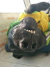 伯纳天纯狗粮经典中大型犬成年犬狗粮12月龄以上15kg 金毛哈士奇阿拉斯加 实拍图