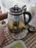 北鼎（Buydeem）养生壶 玻璃 煮茶器电热水壶 多功能 花茶壶烧水壶中药壶 K21曜石黑 实拍图