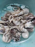 鮮馳八爪魚(yú)新鮮小章魚(yú)海鮮活冷凍水產(chǎn)即食長(zhǎng)腿八抓魚(yú)迷你章魚(yú)足大爆頭 小八爪魚(yú) 2斤(凈重) 曬單實(shí)拍圖