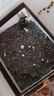 布卡星倉(cāng)鼠尿砂用品除臭尿沙木屑浴沙廁所套裝金絲熊兔子刺猬墊料 納基礦砂-2.2kg-大規(guī)格吸嘴提手 曬單實(shí)拍圖