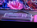 雷蛇（Razer）烈焰神蟲V2專業(yè)版RGB硬質(zhì)鼠標(biāo)墊 集成2.0 USB端口 烈焰神蟲V2專業(yè)版 白色 曬單實(shí)拍圖