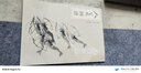 中國(guó)畫(huà)冊(cè)頁(yè)臨摹范本·原大 齊白石 曬單實(shí)拍圖