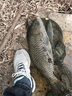 沃鼎王朝系列唐釣魚竿輕量綜合竿碳纖維超輕鯽魚竿魚桿臺(tái)釣竿4.5m 4H 曬單實(shí)拍圖