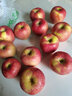 鮮木【粉面沙甜】正宗陜西秦冠蘋(píng)果水果粉面沙甜老人寶寶刮泥新鮮水果 帶箱9.5-10斤果王【出口級品質(zhì)】 曬單實(shí)拍圖