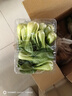 密水農家本地自種新鮮 西葫蘆 350g 鮮摘農家 蔬菜生鮮 曬單實(shí)拍圖