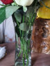 盛世泰堡 玻璃花瓶大号透明水养植物富贵竹百合假花水培插花大花瓶客厅装饰摆件 六角郁金香款29cm 实拍图