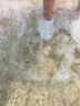 crocs卡骆驰贝雅儿童洞洞鞋男女童户外包头沙滩鞋拖鞋/207013 白色-100 35(215mm) 晒单实拍图