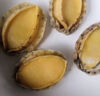 特級鮑魚(yú)干250g約25頭大連干鮑溏心鮑魚(yú)干貨黃金干鮑魚(yú)50頭/80頭 49-53只/1斤大【500克】 曬單實(shí)拍圖