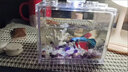 智宙亞克力魚(yú)缸家用桌面斗魚(yú)缸辦公室小魚(yú)缸透明塑料玻璃水族箱觀(guān)賞魚(yú) 透明中號魚(yú)缸帶燈 12*8*10cm 曬單實(shí)拍圖