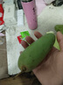 粵品廣西酸嘢生青芒果2025新鮮大小四季酸芒果生吃水果非象牙芒 生芒果5斤【順豐陸運】 曬單實(shí)拍圖