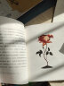 借东西的小人全系列共5册 玛丽诺顿宫崎骏动画动漫原著 小说外国儿童文学6-10岁 小学生一二三四年级课外阅读书 实拍图
