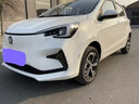 弗炫專用長(zhǎng)安奔奔汽車補(bǔ)漆筆珍珠白車漆劃痕修復(fù)神器黃紅點(diǎn)漆修補(bǔ)筆藍(lán) 雪人白 奔奔Mini 【強(qiáng)化修復(fù)】補(bǔ)漆筆+65ml劃痕蠟 曬單實(shí)拍圖