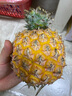 鑫果滋 芒果鳳梨 海南金鉆鳳梨小菠蘿手撕鳳梨新鮮水果年貨禮盒送禮 【芒果鳳梨】8-8.5斤4-6個大果 曬單實拍圖