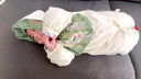 G.DUCKKIDS新生嬰兒衣服秋季女寶寶春秋外出洋氣公主連體衣套裝春款哈衣爬服 綠色 春款單層 36cm 66建議年齡3-6個(gè)月10斤-13斤左右 曬單實(shí)拍圖