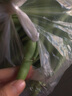格沃斯【現(xiàn)摘】云南露天四季豆新鮮時(shí)令豆蕓豆新鮮蔬菜 3斤四季豆 曬單實(shí)拍圖