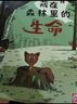 【兒童繪本精裝】自然科學(xué)與生命教育 這是誰(shuí)的家+藏在森林里的生命（共2冊(cè)）3-6歲動(dòng)物巢穴棲息地森林動(dòng)物認(rèn)知啟蒙百科全書(shū)開(kāi)學(xué)季 這是誰(shuí)的家+藏在森林里的生命 曬單實(shí)拍圖