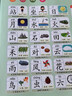 骉祥兒童認(rèn)字書識字大字卡片啟蒙點(diǎn)讀機(jī)學(xué)習(xí)早教發(fā)聲書幼兒有聲掛圖y 神奇漢字300 曬單實(shí)拍圖