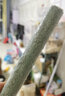 寵尚天 磨爪棒磨牙棒磨砂鸚鵡玩具啃咬鳥用品秋千鳥籠配件站架站桿站棍 15cm鳥用站桿磨爪棒 曬單實拍圖
