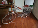 KOLOR Kolor卡勒單車KF132內(nèi)3速通勤自行車內(nèi)變速通勤車英倫復(fù)古自行車 電鍍銀 S碼（155mm-175mm） 高配-內(nèi)3速（豪華型） 曬單實(shí)拍圖