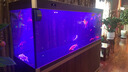 可麗愛D系大型底濾靠墻/屏風(fēng)超白魚缸水族箱實(shí)時(shí)溫顯可變光長(zhǎng)1.8m-2.0m 胡桃木紋+香檳金 DAD/DAG（顯示屏+魚馬桶） 2000*600*1620mm靠墻款 曬單實(shí)拍圖