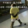 BS白沙點(diǎn)將臺球桿小頭10.2桿頭一體通桿黑八中式八球桿美式黑8斯諾克英式桌分體臺球桿 10.2MM通桿配全黑木盒套裝 曬單實(shí)拍圖