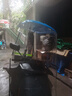 美克杰電動車雨棚篷摩托車遮雨遮陽傘電瓶車擋雨防風(fēng)罩新款7字車棚可拆 【雙人藍(lán)色】加固實心架+前雨簾 車子有倒車鏡(送工具) 曬單實拍圖