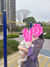 絲柏舍【明星同款】V領(lǐng)連衣裙2025春夏新款女裝氣質(zhì)印花A字裙 曬單實(shí)拍圖