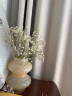 京东鲜花 中古花瓶 新年摆件客厅插花玻璃高级感复古葫芦奶油风水培鲜花 实拍图