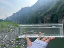 盛河小青2代碳素紡車輪微物路亞馬口輪斜口淺線杯微拋魚線輪漁具 小青二代 1000系列 曬單實拍圖