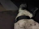 珊野狗狗項圈中大型猛犬專用頸圈可調(diào)節(jié)防脫狗脖圈金毛德牧馬犬狗脖套 XL項圈(建議60-130斤) 黑色 項圈 曬單實拍圖