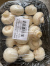 京百味 江苏白蘑菇 450g 简装 新鲜蔬菜 实拍图