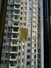 卡夫威爾斷線(xiàn)鉗電纜剪合金鋼工業(yè)剪鎖大力鉗建筑鋼筋鉗鋼筋剪鐵絲鋼絲12寸 曬單實(shí)拍圖