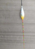 川澤輕口小碎目鯽魚(yú)漂高靈敏醒目納米浮漂野釣鯽鯉魚(yú)抗走水頓口浮標 NA04-3【19目小碎目】吃鉛2.1g 高靈敏小碎目單支裝 曬單實(shí)拍圖