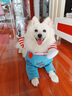 寵物衣服秋冬比熊法斗狗狗貓咪搞怪柴犬柯基泰迪搞笑網(wǎng)紅拿刀裝 拿刀娃娃變身裝 S碼【適合8-18斤】 曬單實拍圖