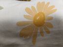 博洋家纺全棉磨毛四件套纯棉被套加厚床单被罩床上用品 雏菊朵朵180cm 实拍图