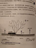 官網(wǎng) 獼猴桃栽培管理手冊(cè) 末澤克彥 獼猴桃栽培管理 獼猴桃高效栽培種植技術(shù)書籍 曬單實(shí)拍圖