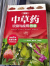 精編中草藥識別與應用圖譜 曬單實(shí)拍圖