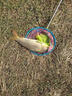 千鯉江山誘魚(yú)劑小藥鯉魚(yú)餌料添加劑窩子野釣黑坑垂釣通用淡水南北 千鯉江山誘魚(yú)劑【1瓶】 曬單實(shí)拍圖