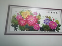 豪咖客廳裝飾畫(huà)國(guó)畫(huà)牡丹花開(kāi)富貴沙發(fā)墻掛畫(huà)自粘貼畫(huà)新中式臥室床頭畫(huà) 22金線牡丹花開(kāi)富貴A 印刷邊框?qū)?0長(zhǎng)160厘米 曬單實(shí)拍圖