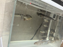 漁樂(lè )極限魚(yú)缸換水器電動(dòng)吸便器龍魚(yú)缸吸污洗沙器吸水抽水泵大吸力清理吸魚(yú)糞清洗換水神器 【28W高配】+10米牛筋管 曬單實(shí)拍圖